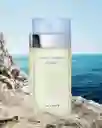Perfume Dolce & Gabbana Light Blue 100ml Woman Eau De Toilette