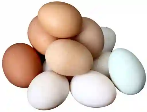 Huevos Criollos