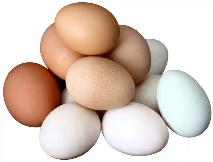 Huevos Criollos