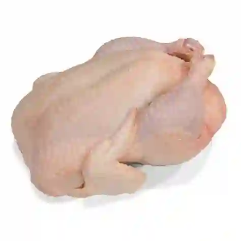 Pollo Criollo
