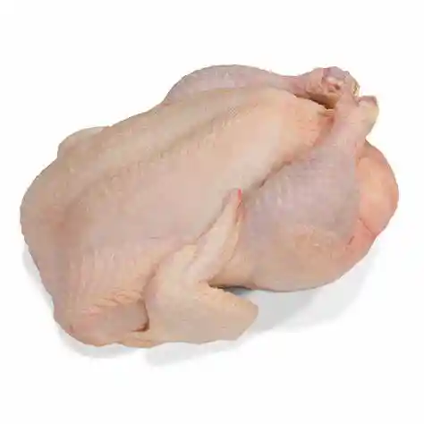 Pollo Criollo