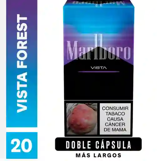 Malboro Fusion X 20