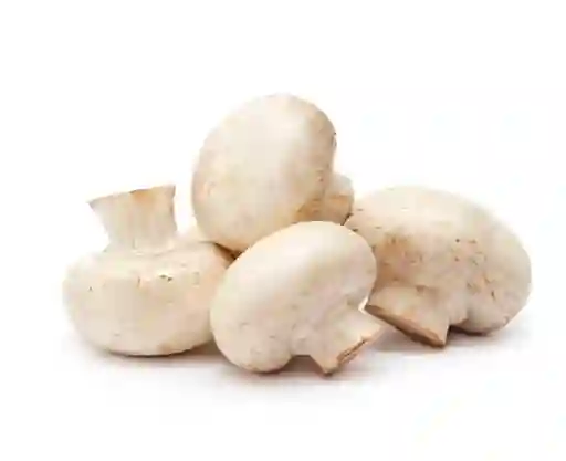 Champiñon