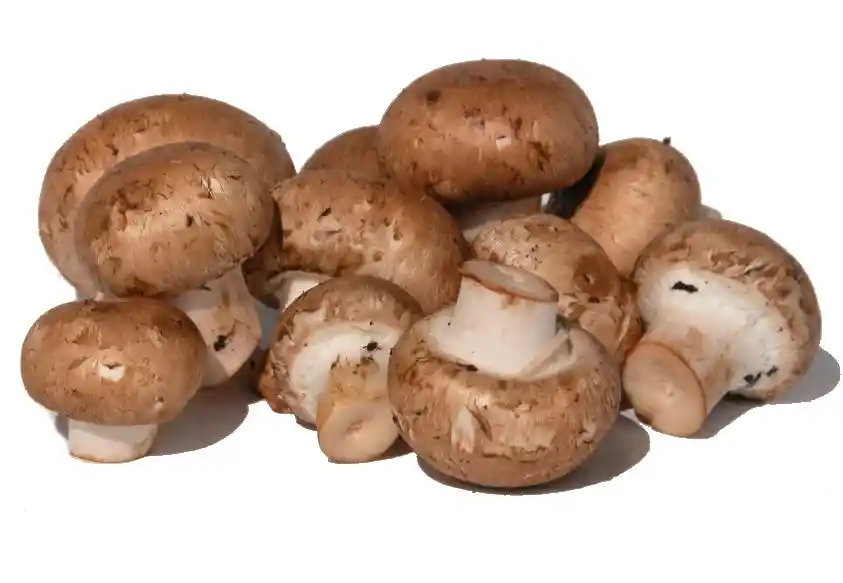 Hongos ( Shitake, Melena De León, Portobello Y Champiñón.