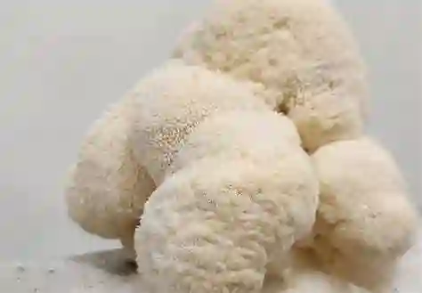 Hongos ( Shitake, Melena De León, Portobello Y Champiñón.