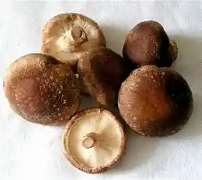 Hongos ( Shitake, Melena De León, Portobello Y Champiñón.