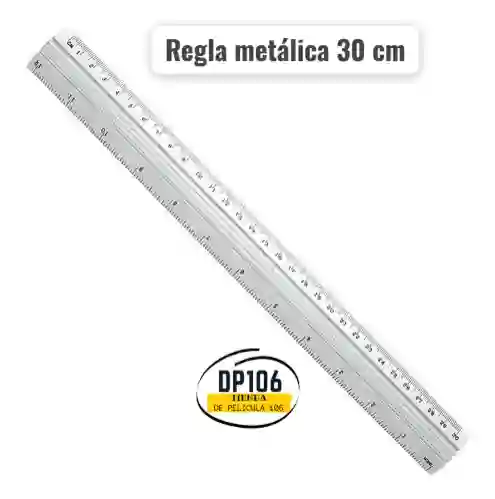 Regla Metalica 30 Cm