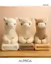 Peluche Con Cobija