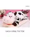 Peluche Con Cobija