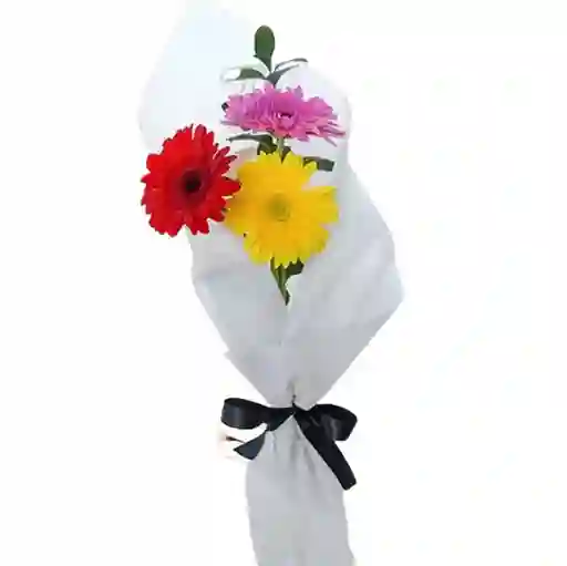 Bouquet X3 Gerberas