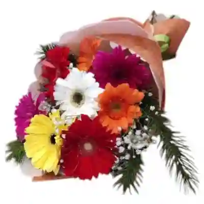 Bouquet De 8 Gerberas