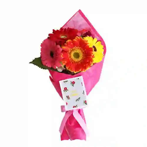 Bouquet De Gerberas X6