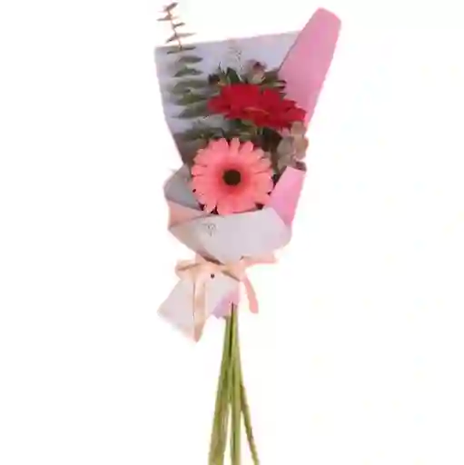 Bouquet De 2 Gerberas