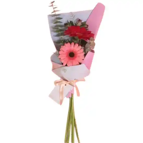 Bouquet De 2 Gerberas