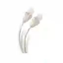 Cable Utp De Red Lan Cat 6 20 Metros | Gran Calidad | Blanco