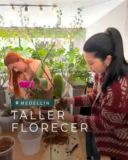 Taller Florecer Piante Orquídeas Medellin - 26 Julio 2025