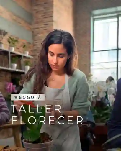 Taller Florecer Piante Orquídeas Bogotá - 19 Julio 2025