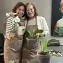Taller Florecer Piante Orquídeas Bogotá - 26 Julio 2025