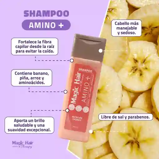 Shampoo Amino+
