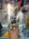 Figura Decorativa Lindo Perro Bienvenido Cerámica