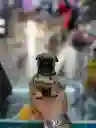 Figura Decorativa Lindo Perro Bienvenido Cerámica
