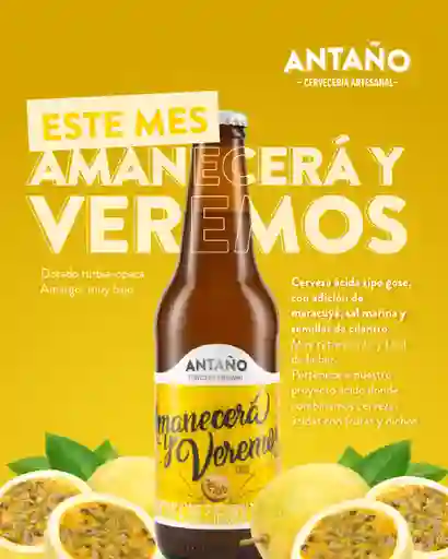 Antaño Cerveza Artesanal Amanecera Y Veremos Estilo Gose Botella 330ml