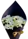 Margaritas