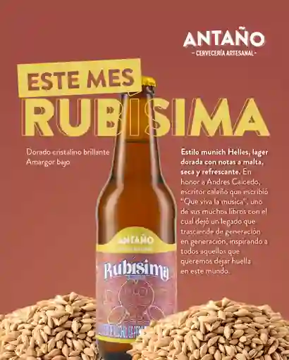 Antaño Cerveza Artesanal Rubisima Estilo Munich Helles Botella 330ml 1und