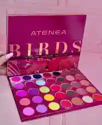 Paleta De Sombras 35 Tonos Birds