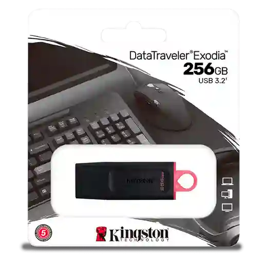 Memoria Usb Kingston 256 Gb Exodia Onyx – Usb 3.2