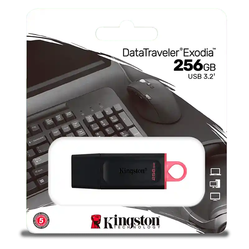Memoria Usb Kingston 256 Gb Exodia Onyx – Usb 3.2