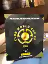 Álbum Panini Copa De Clubes Club World Cup Fifa 2025