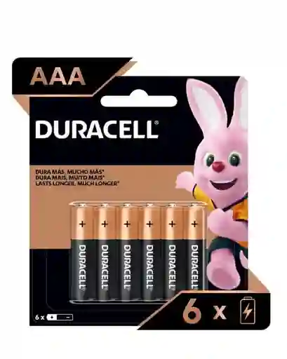 Pilas Aaa X 6 Unidades Duracell