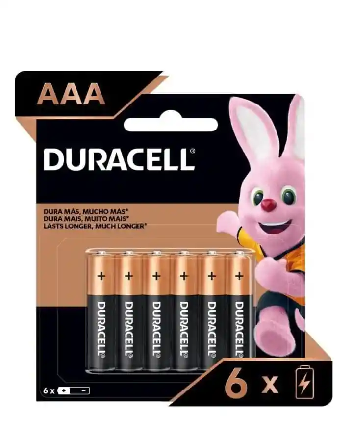 Pilas Aaa X 6 Unidades Duracell