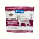 Alimento Medicado Seco Gastrointestinal Kanu Vet Para Gato Adultos