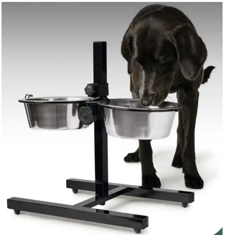 Comedero Elevado Ajustable