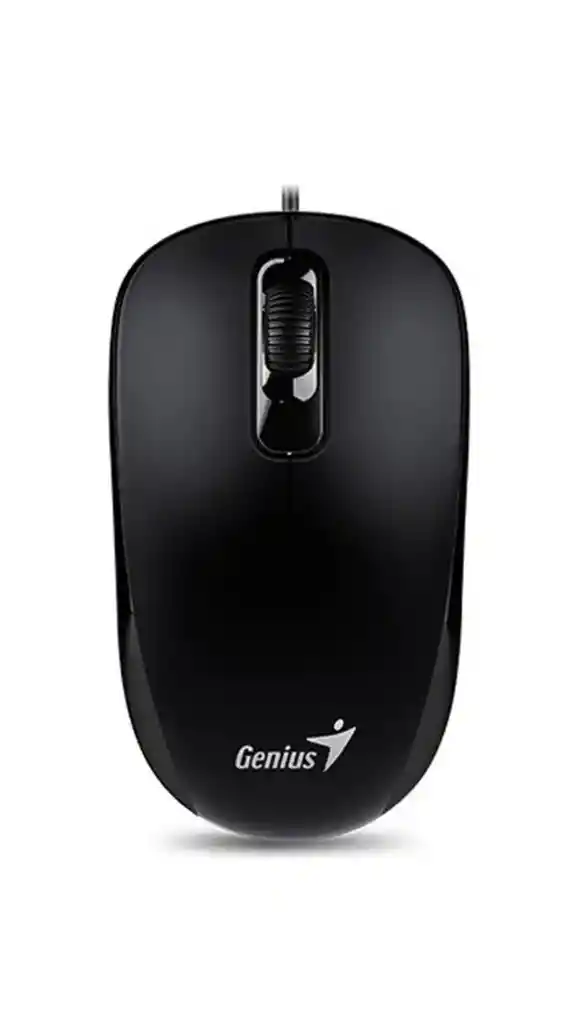 Mouse Usb Genius Dx-120 Óptico 1000 Dpi Negro