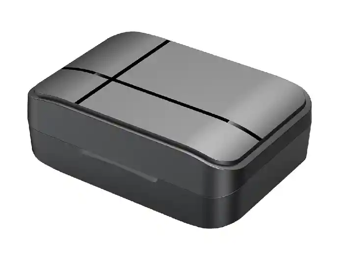 Professional Wireless Microphone
