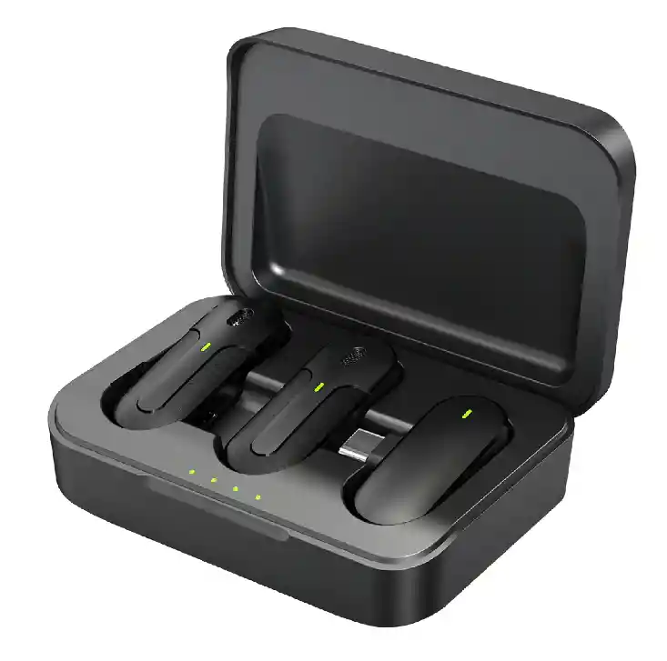 Professional Wireless Microphone