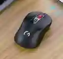Mouse Wm-67