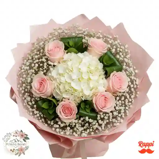 Rosa De Encanto