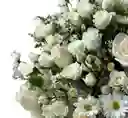 Caja De Rosas Blancas – Pureza Y Sofisticación