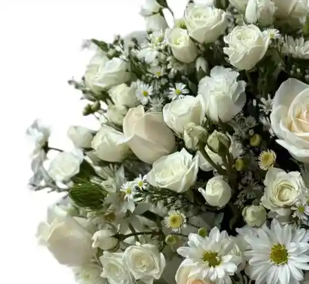 Caja De Rosas Blancas – Pureza Y Sofisticación
