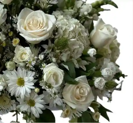 Caja De Rosas Blancas – Pureza Y Sofisticación