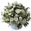 Caja De Rosas Blancas – Pureza Y Sofisticación