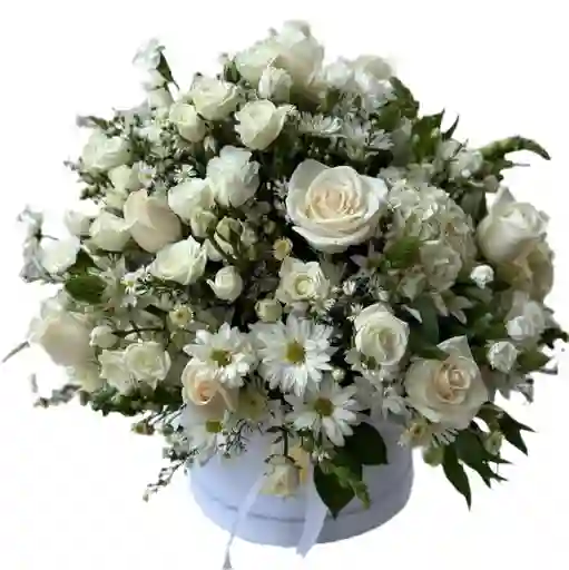 Caja De Rosas Blancas – Pureza Y Sofisticación