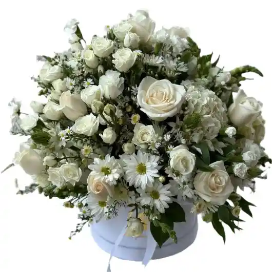 Caja De Rosas Blancas – Pureza Y Sofisticación