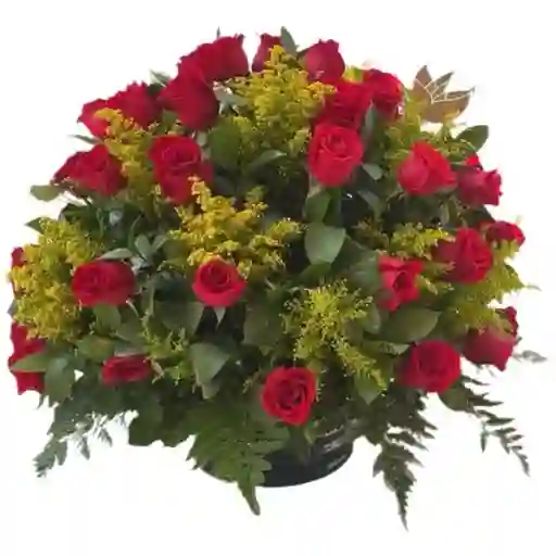 Caja De Rosas Rojas - Promesa De Corazón