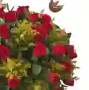 Caja De Rosas Rojas - Promesa De Corazón