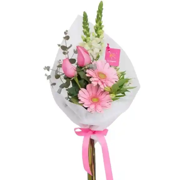 Ramo De 2 Rosas Y 2 Gerberas